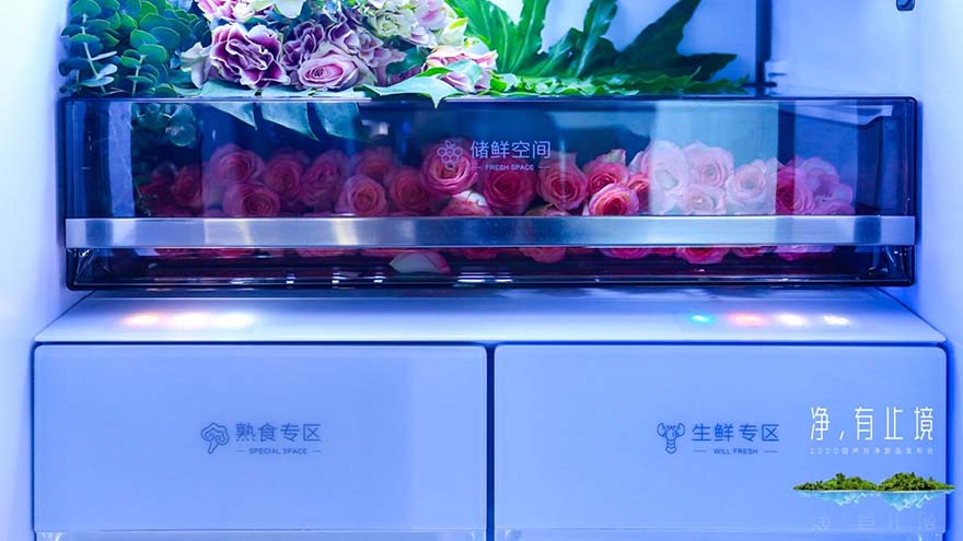 容声生熟分储冰箱，助力“健康中国”建设